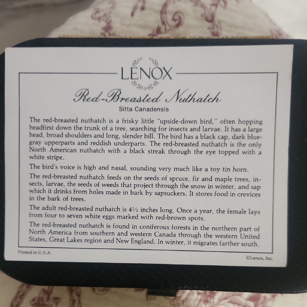 Lenox White Red-Breasted Nuthatch Information Card